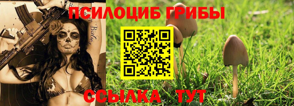 Галлюциногенные грибы GOLDEN TEACHER Бирск