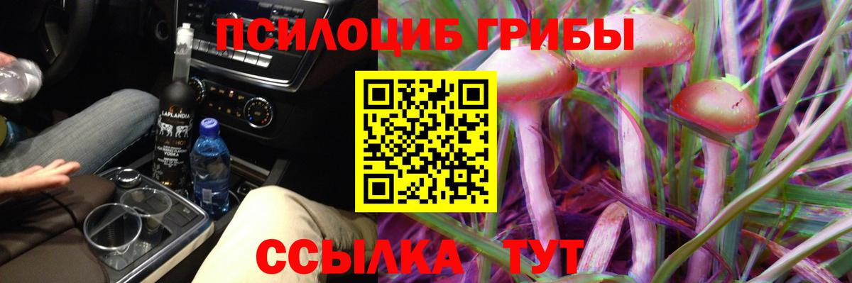 Бирск  Псилоцибиновые грибы GOLDEN TEACHER  Вход с VPN 